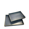 SET 2 PLATEAUX RECTANGLE