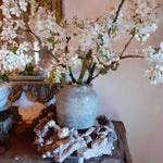 FLEURS
