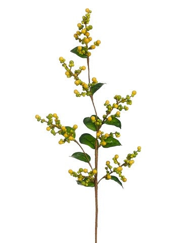 FLEURS