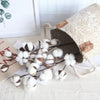 FLEURS DE COTON