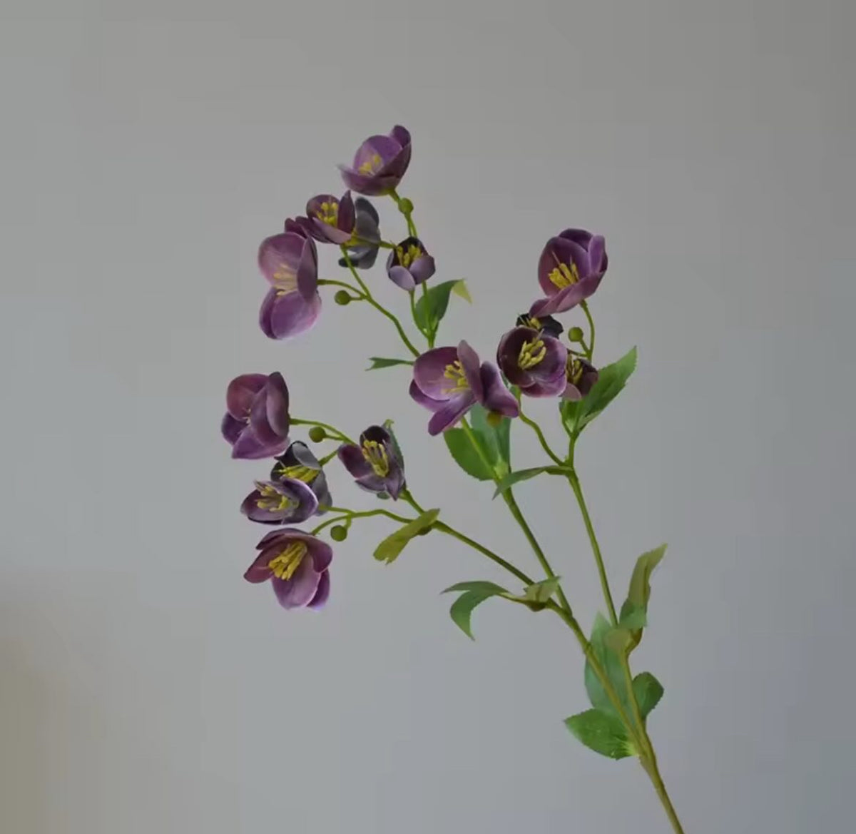 FLEURS