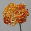 FLEURS
