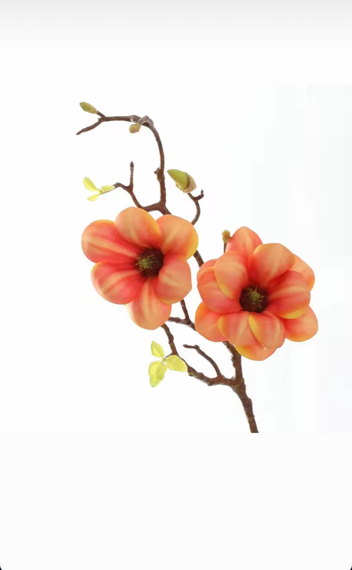 FLEURS