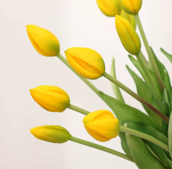 BOUQUET TULIPES FLEURS