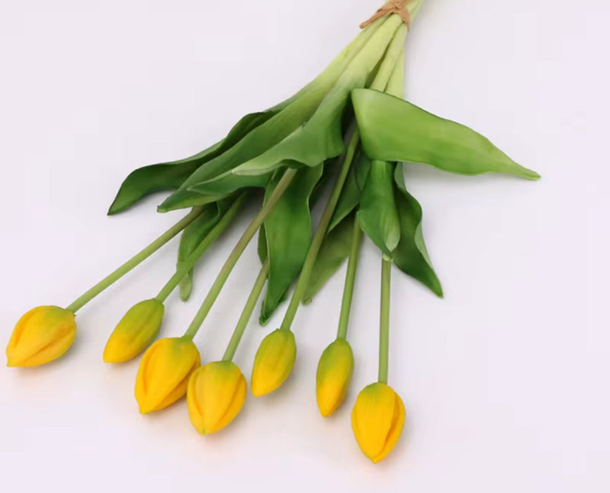 BOUQUET TULIPES FLEURS