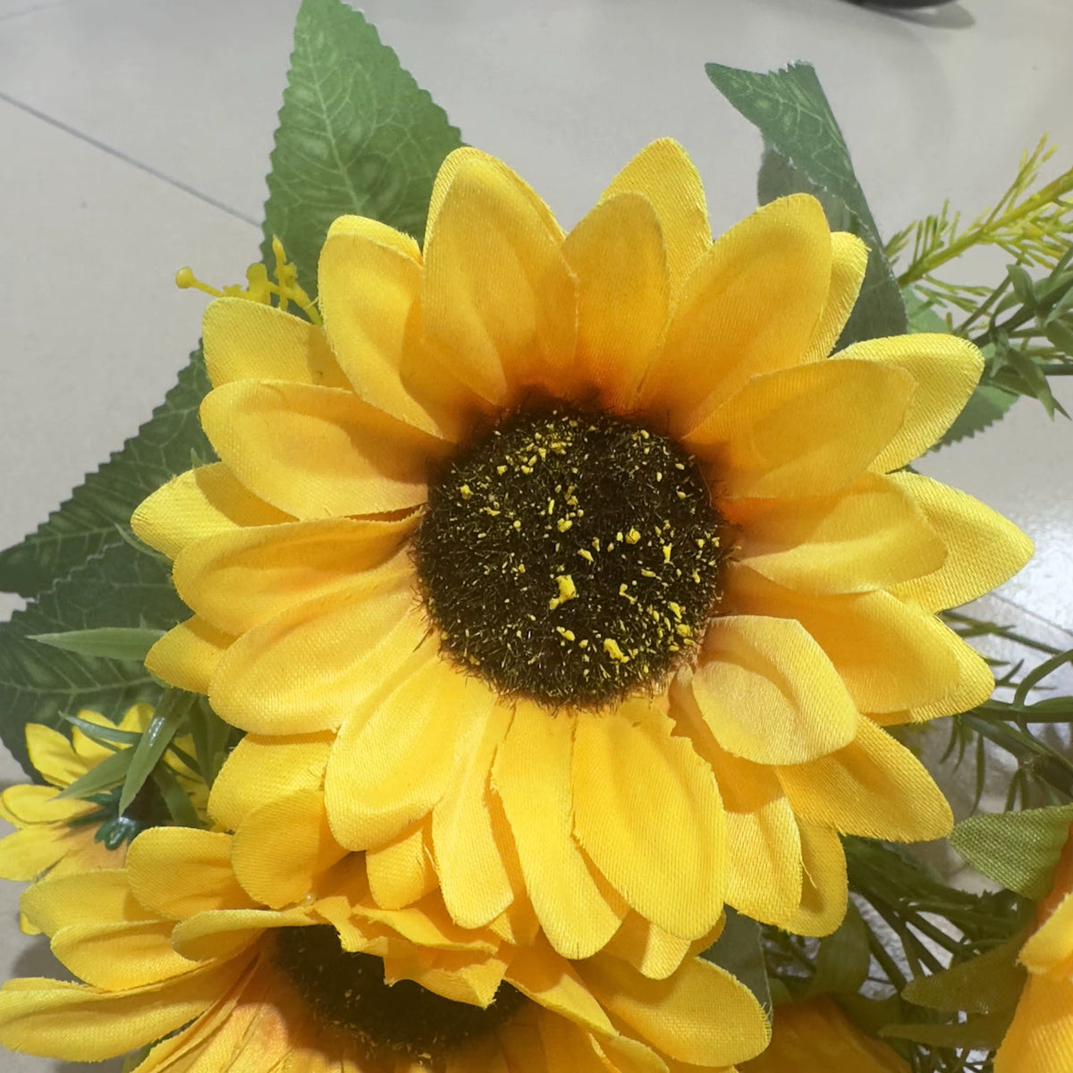 TOURNESOL FLEURS