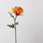 FLEURS