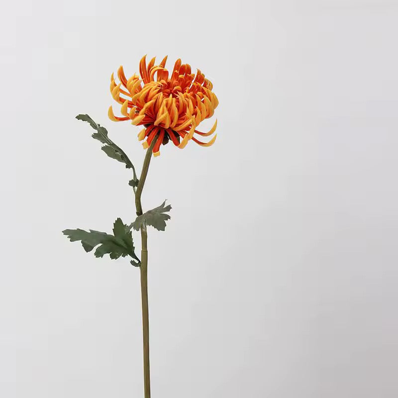 FLEURS