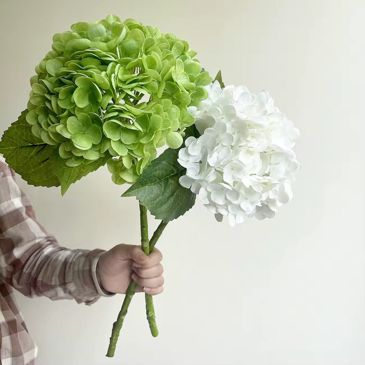 FLEURS