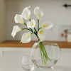 BOUQUET TULIPES FLEURS