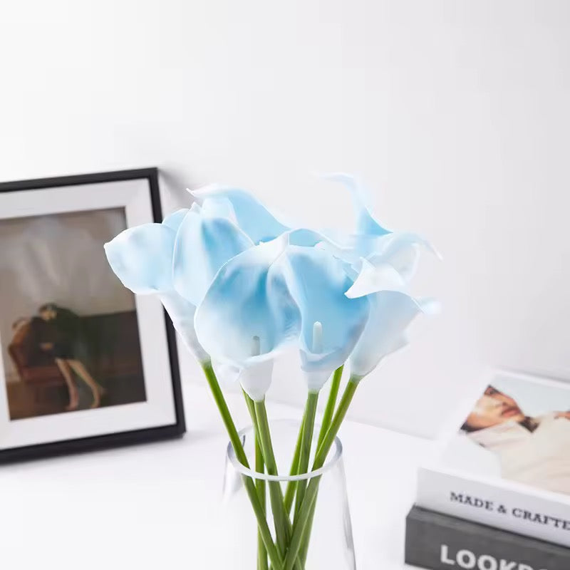 BOUQUET TULIPES FLEURS