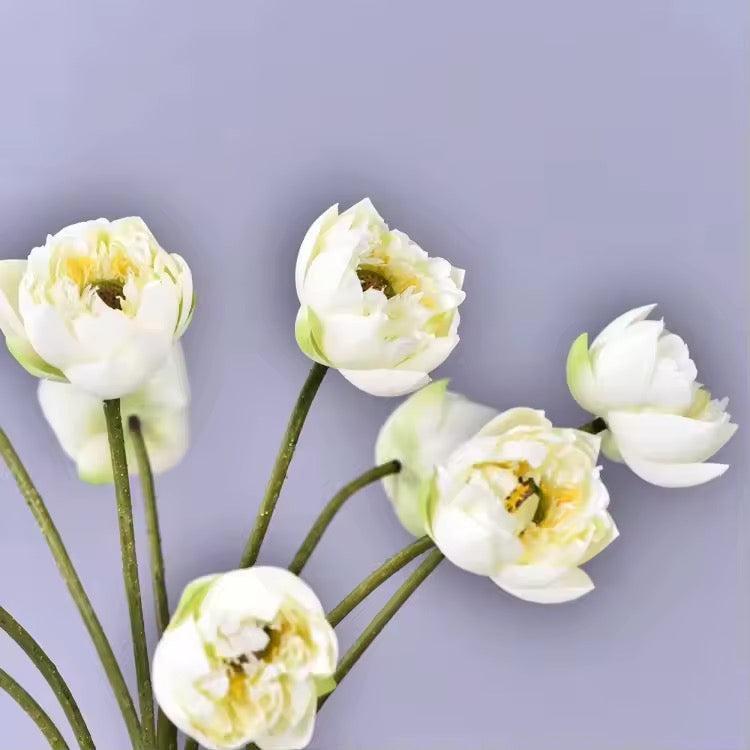 FLEURS