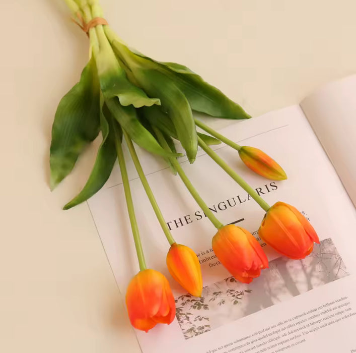 BOUQUET TULIPES FLEURS