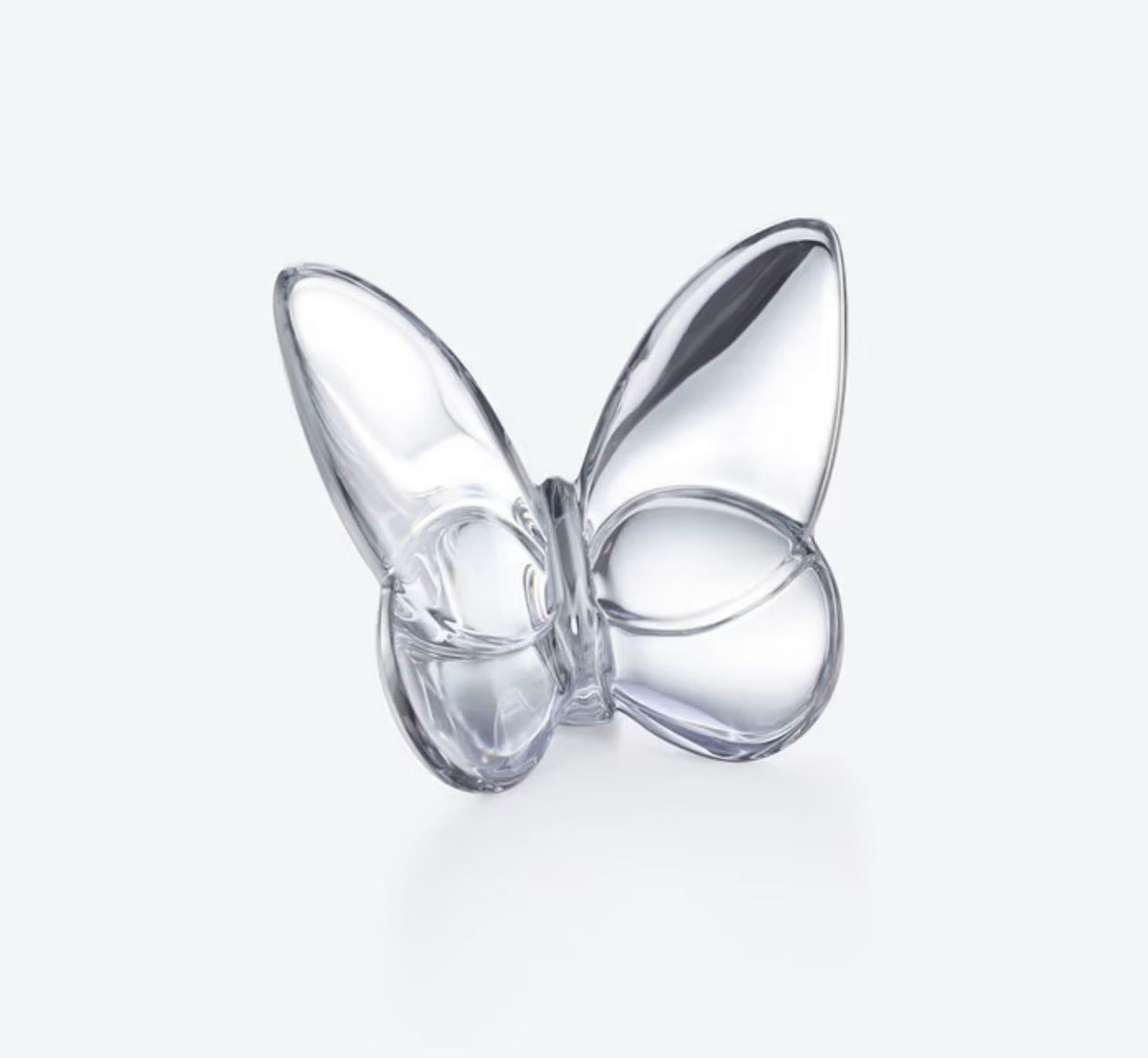 Papillon