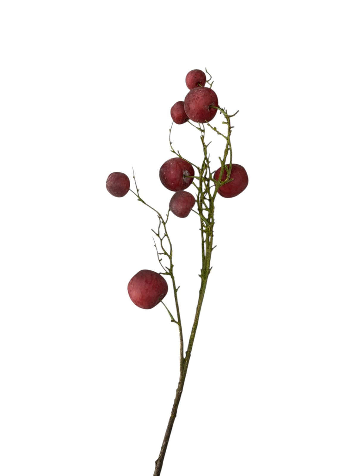 FLEURS POMME