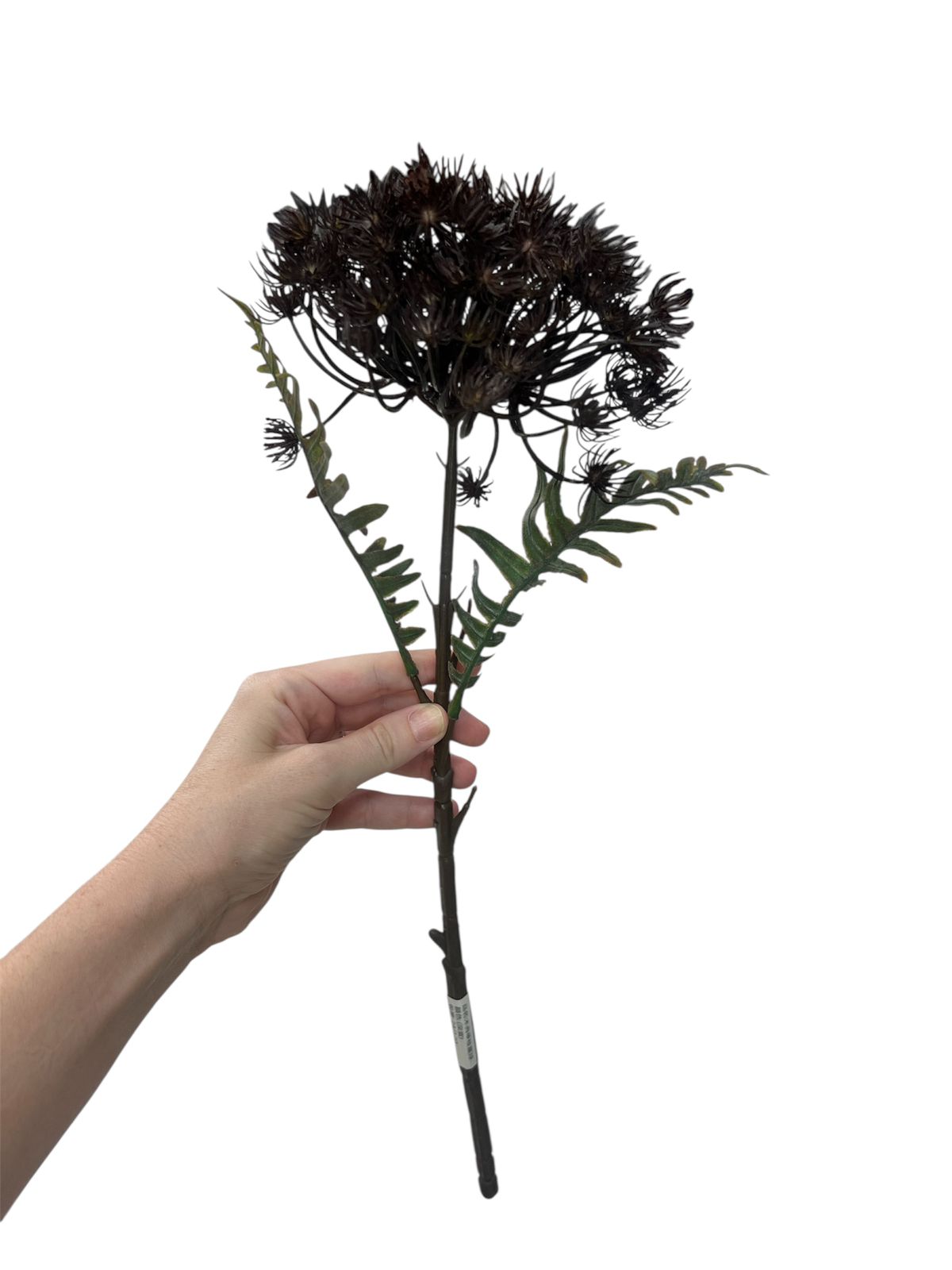 FLEURS