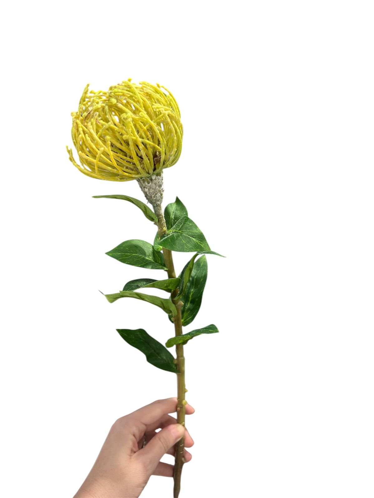 FLEURS