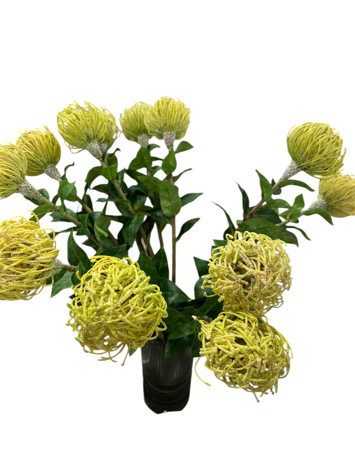 FLEURS