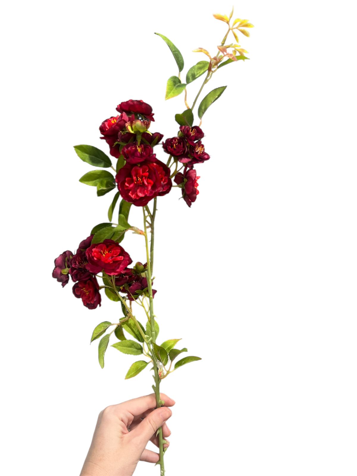 FLEURS