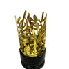 BRULE PARFUM