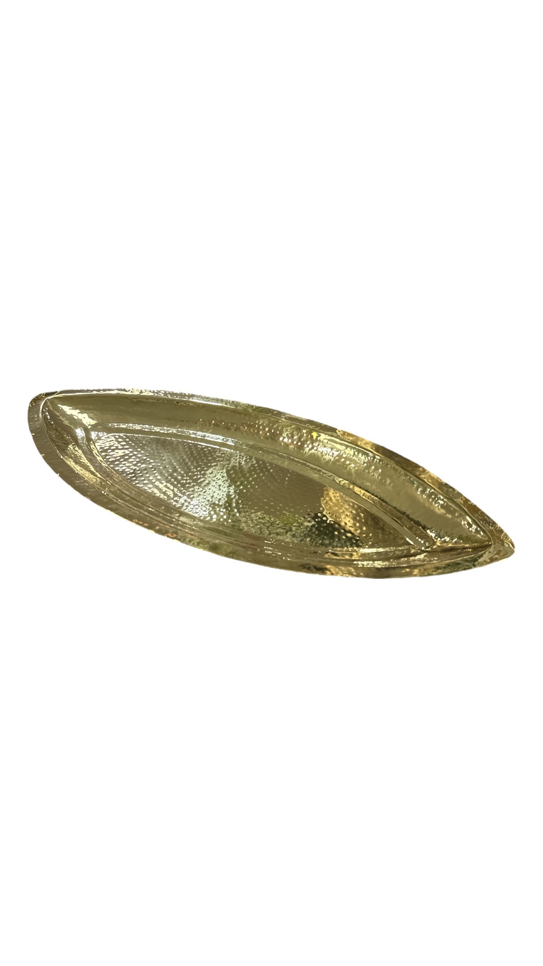 PLAT LONG POISSON