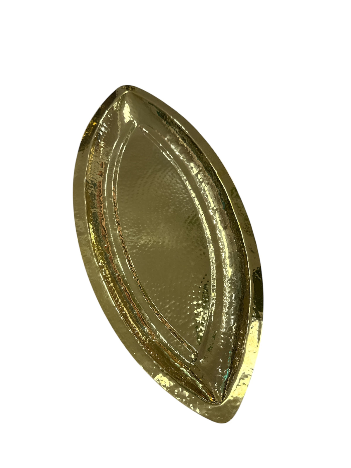 PLAT LONG POISSON