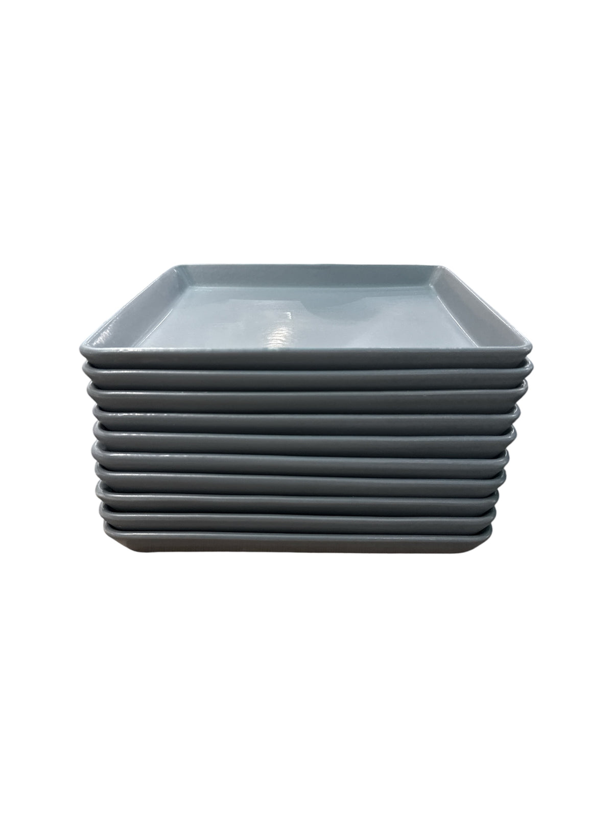 PLAT CARRÉ BLEU
