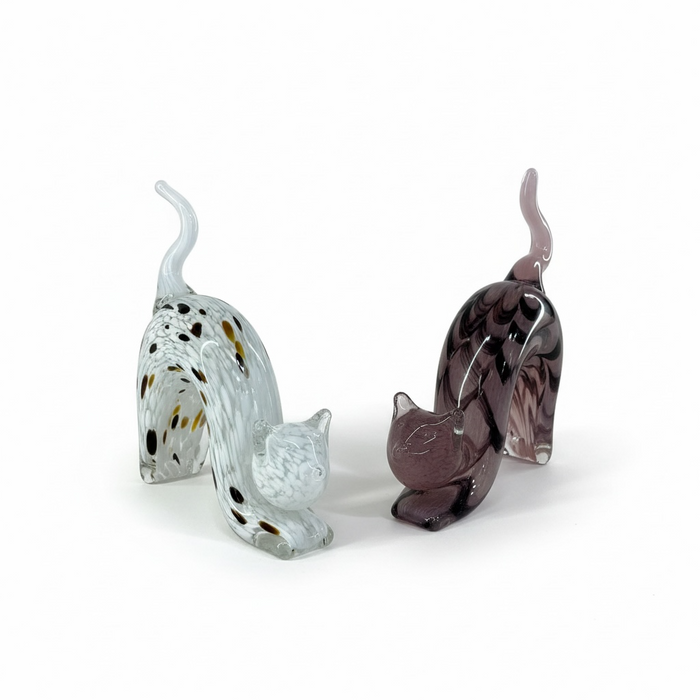 CHAT EN VERRE