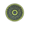 ASSIETTE CP 10110