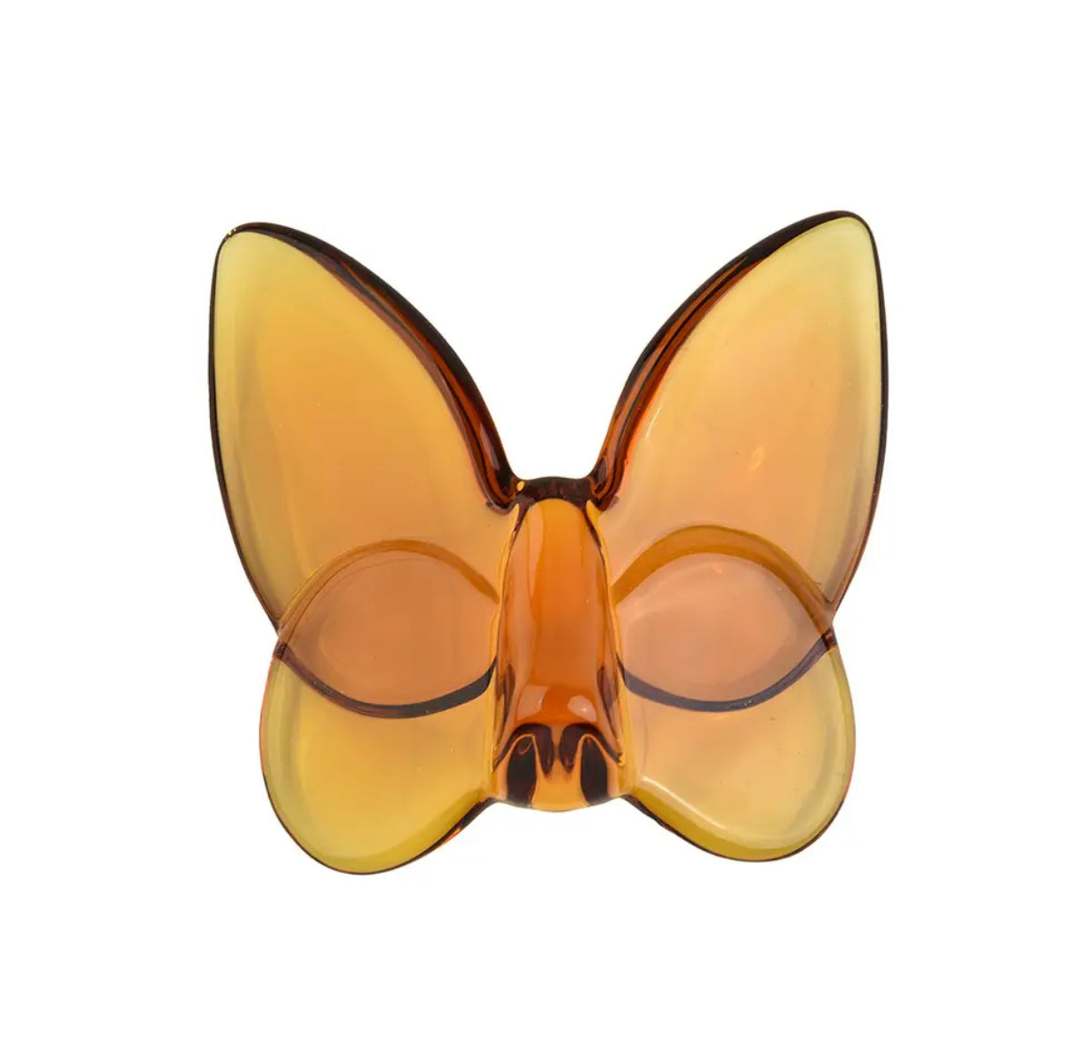 Papillon